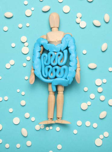 Mikroflora jelitowa — klucz do zdrowia