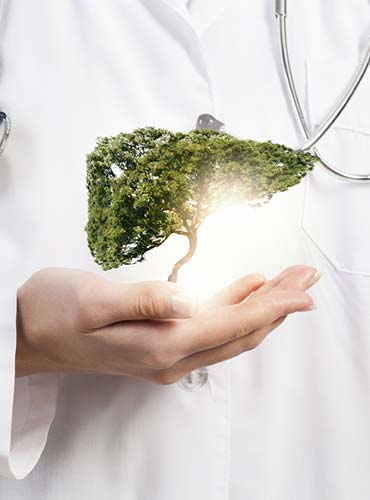 Pomóż swojej wątrobie